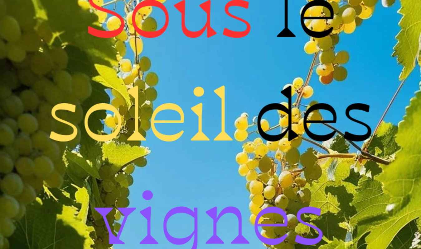 Sous le soleil des vignes