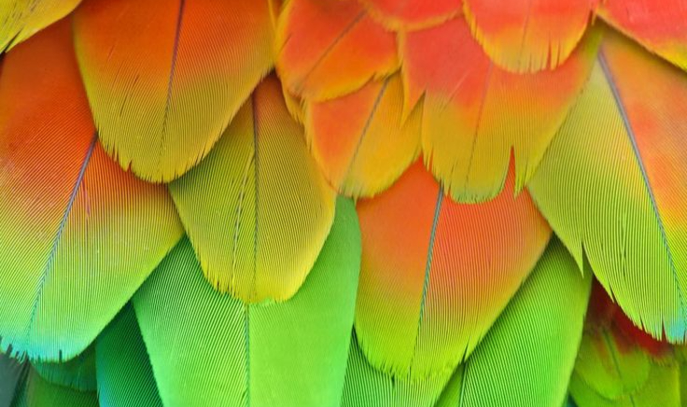 Les souvenirs d'un présent