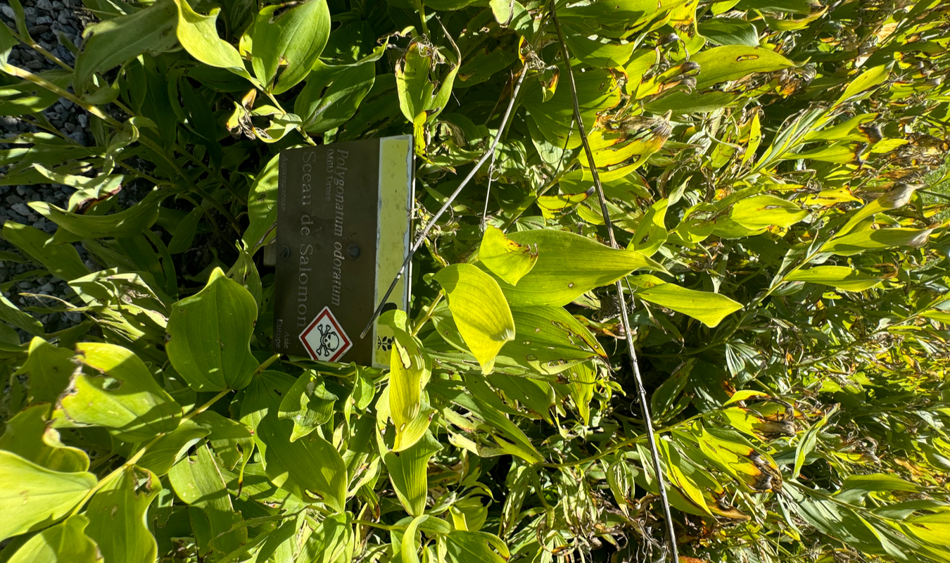 Naître ou ne pas naître