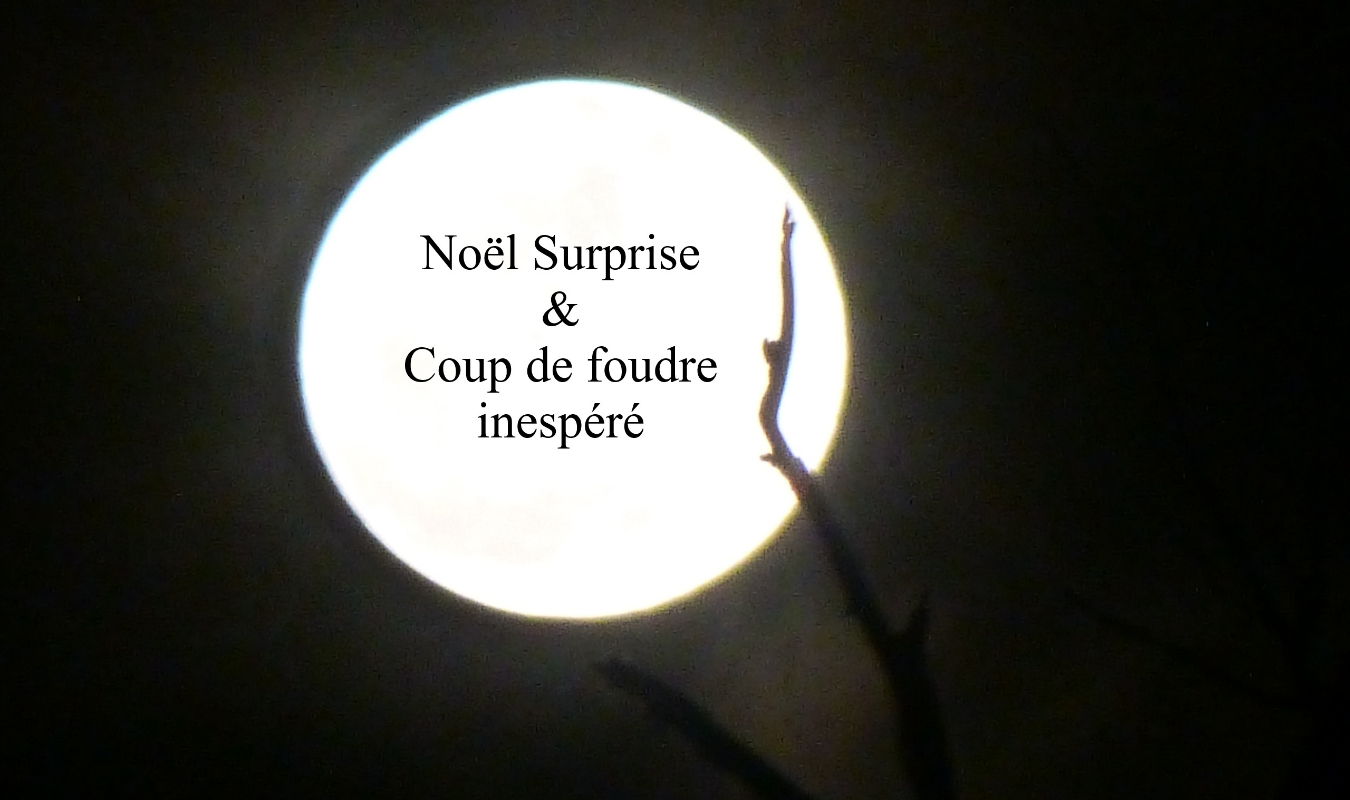 Noël surprise & coup de foudre inespéré