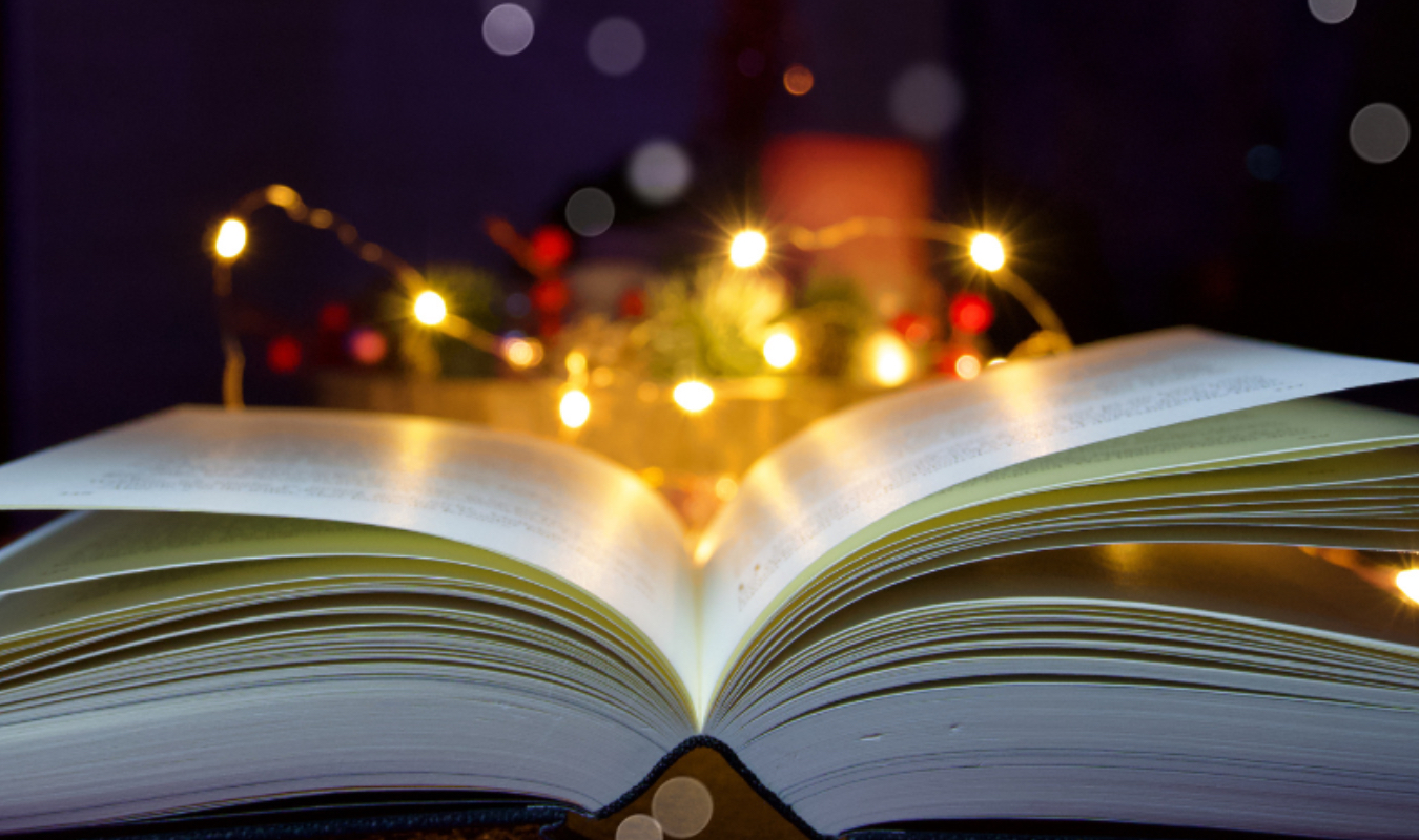 Not Another Christmas Romance !