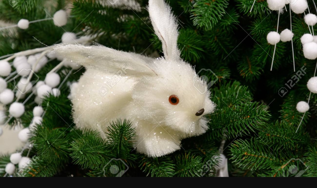 L’amour perdu d’une reine de Noël.