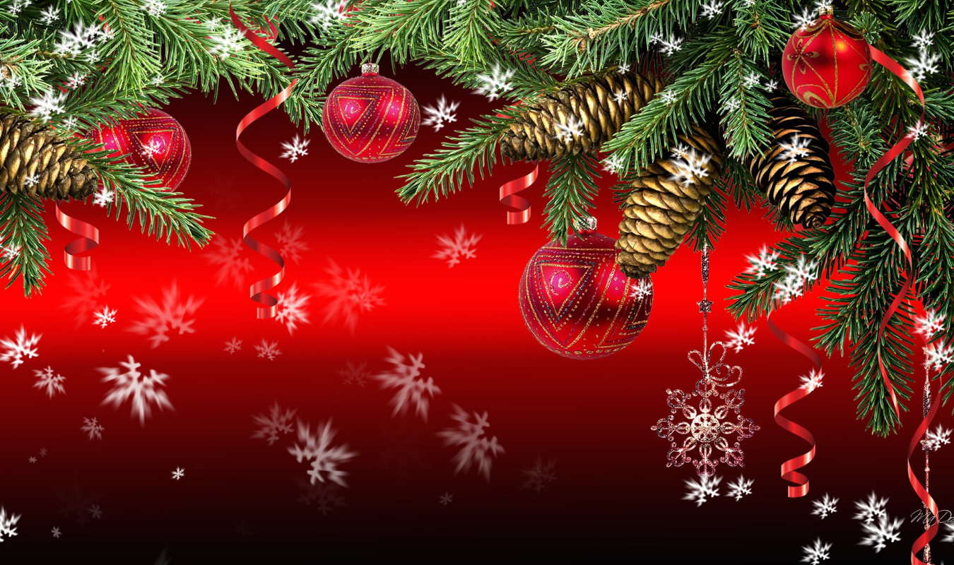 Service Après-Rupture