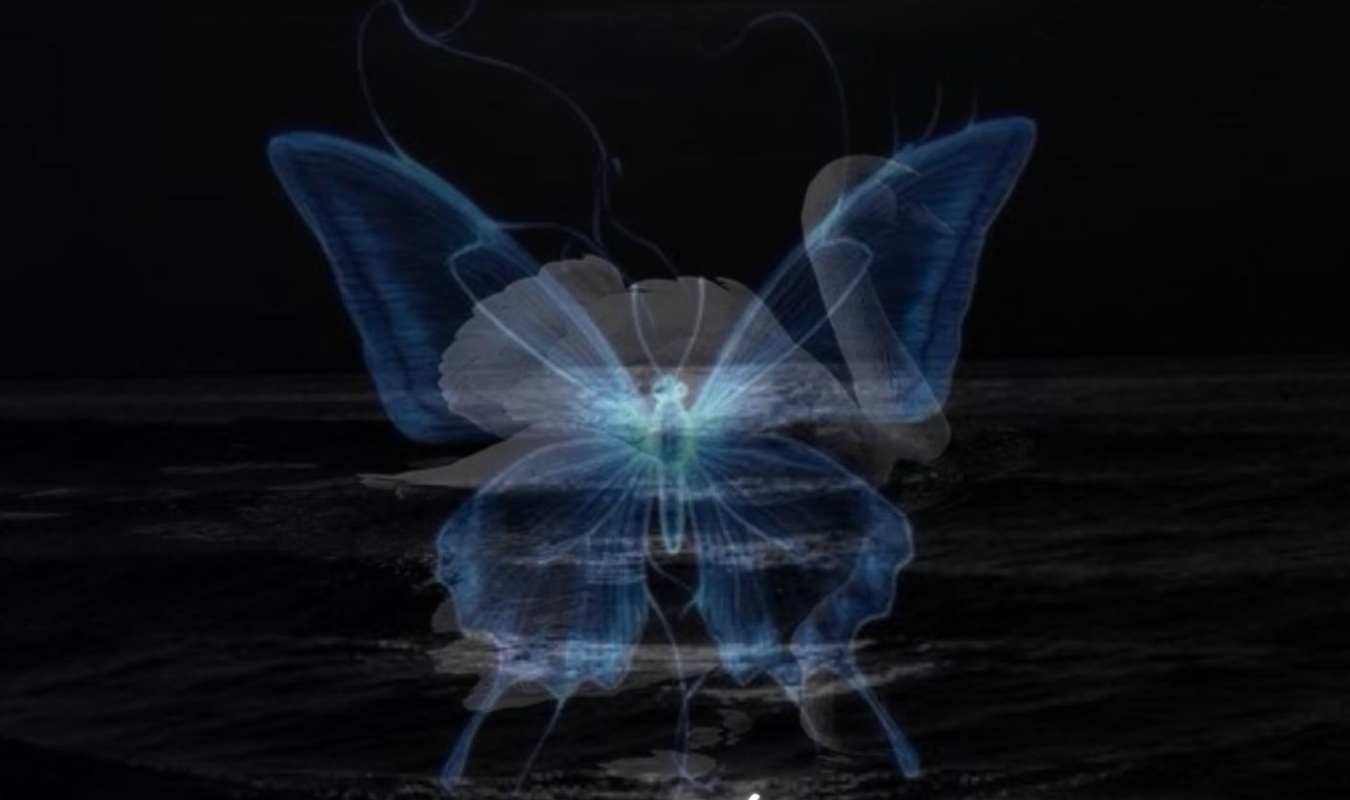 I miss you, I'm sorry