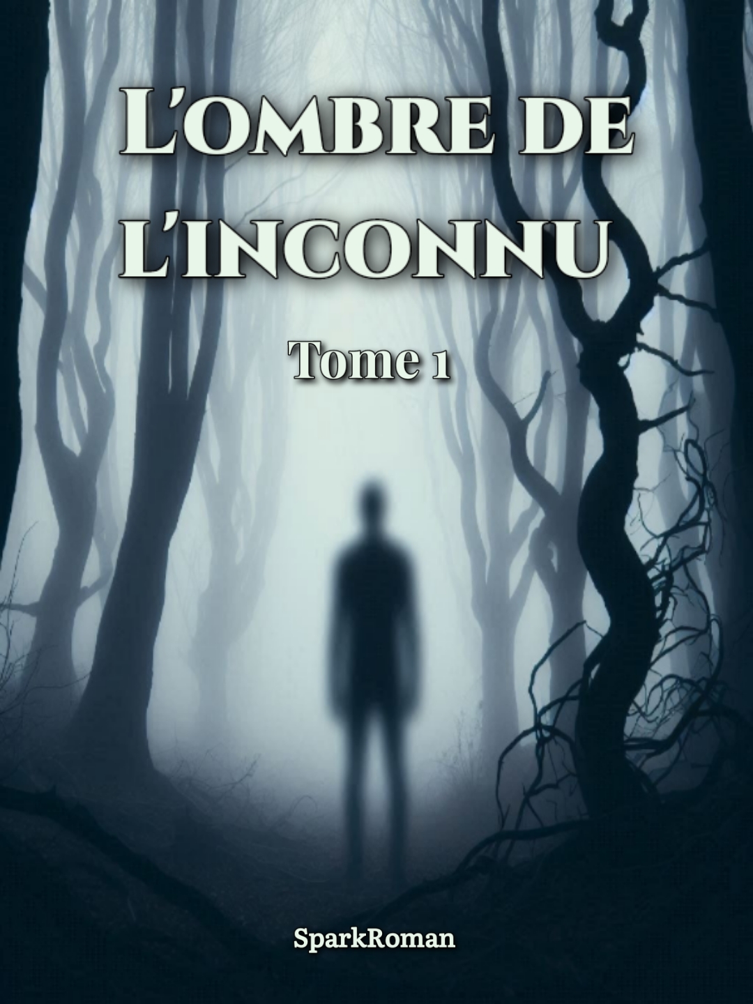 L'Ombre de l'Inconnu - Tome I