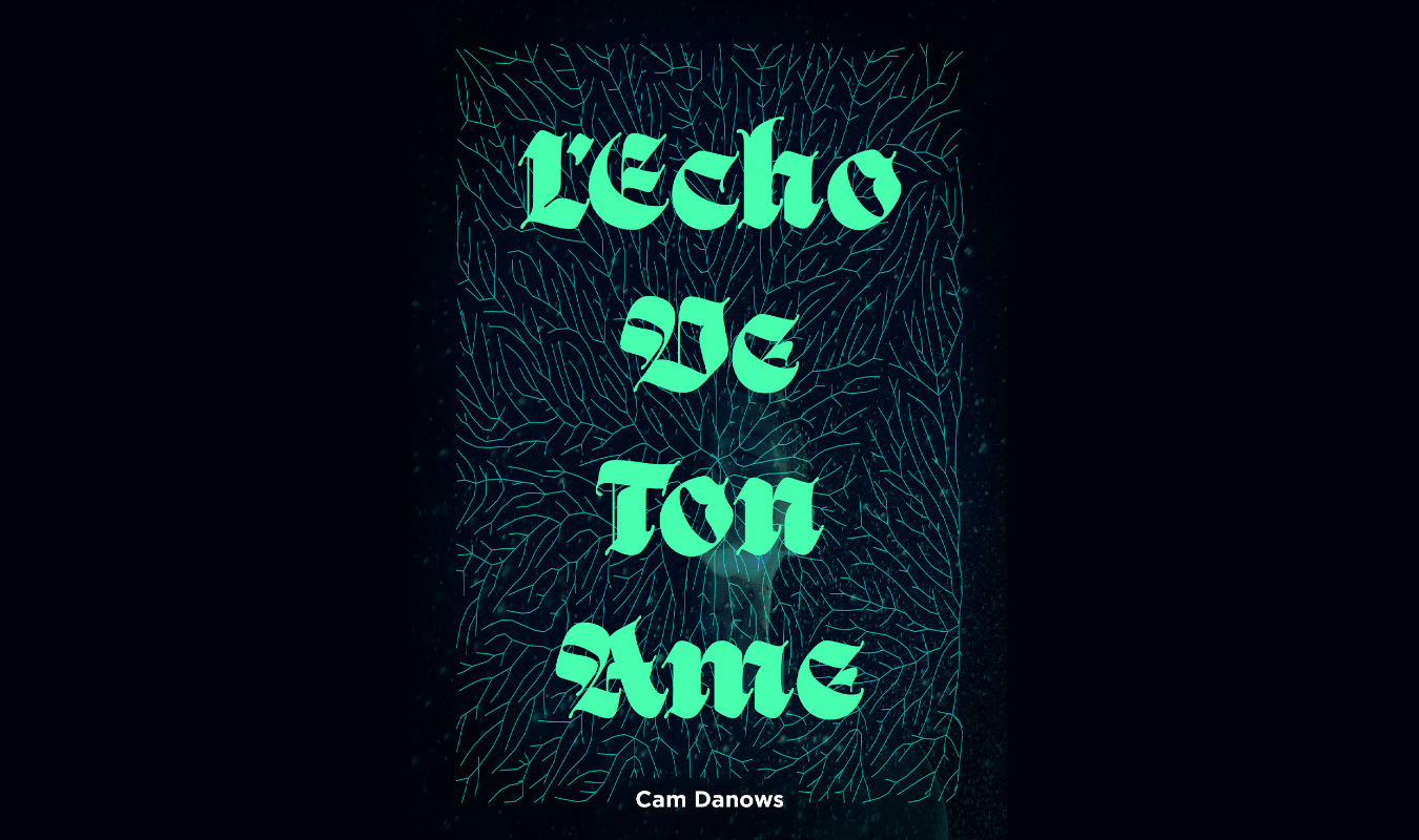 L'Écho De Ton Âme