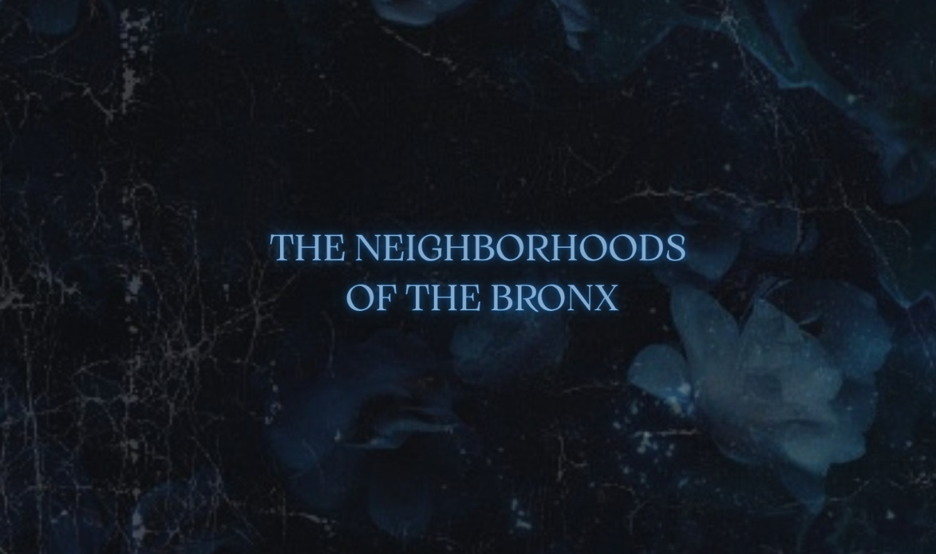 The Neighborhoods of the Bronx 