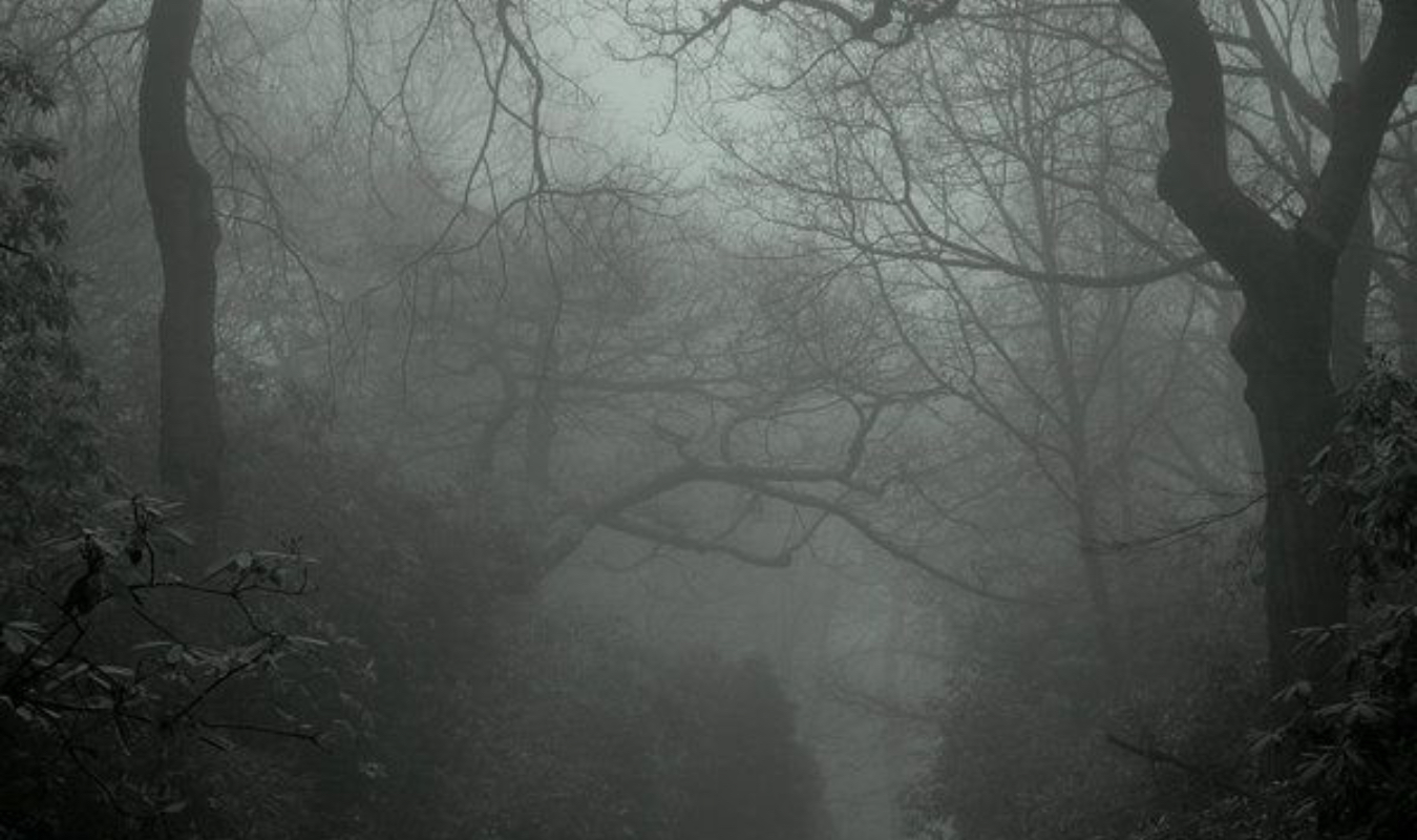 Nos mémoires sombres