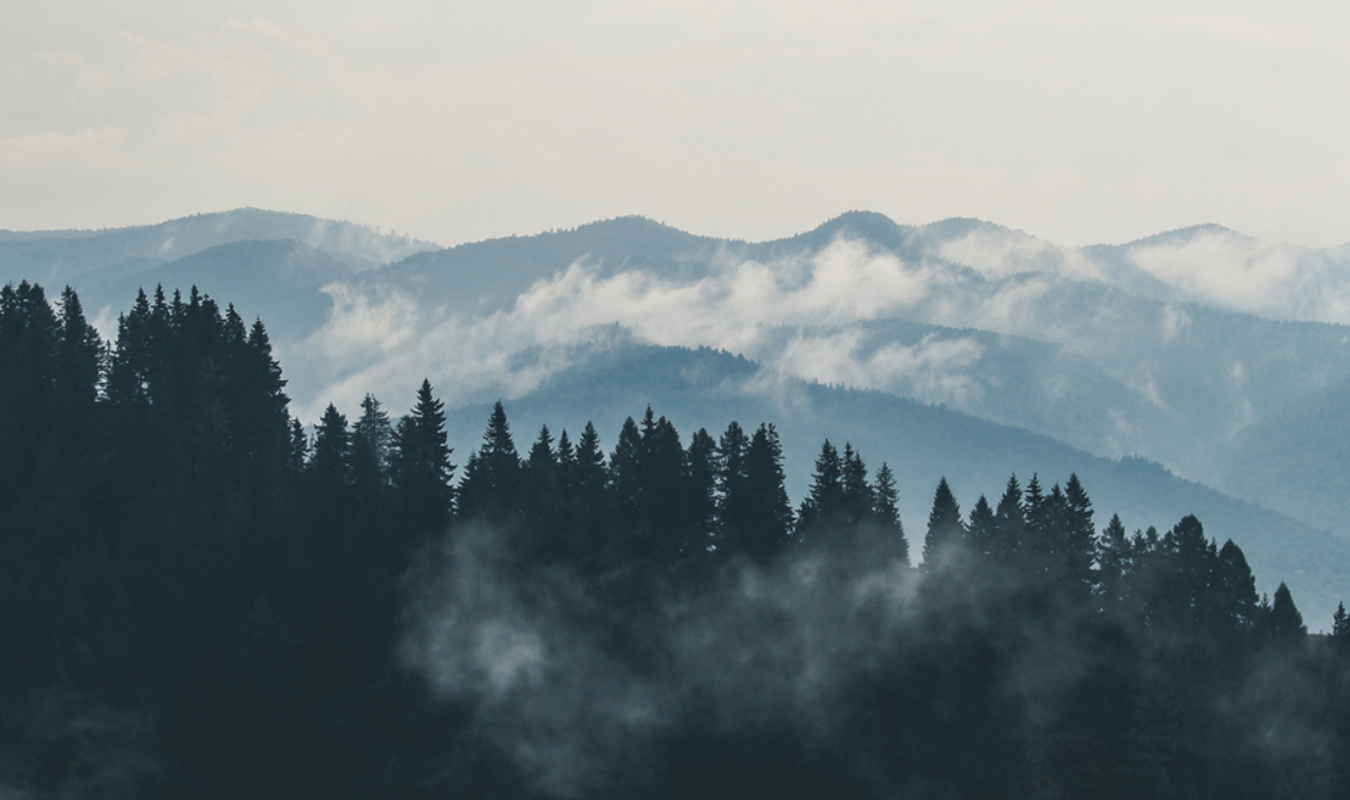 Le chant des lamentations. Tome 1 : La forêt d'Ozdal