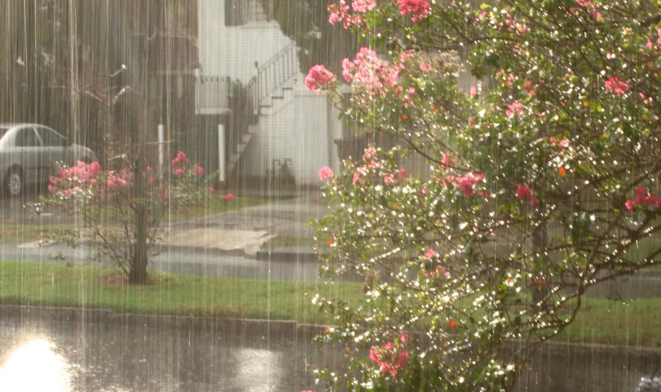 Un jour de pluie