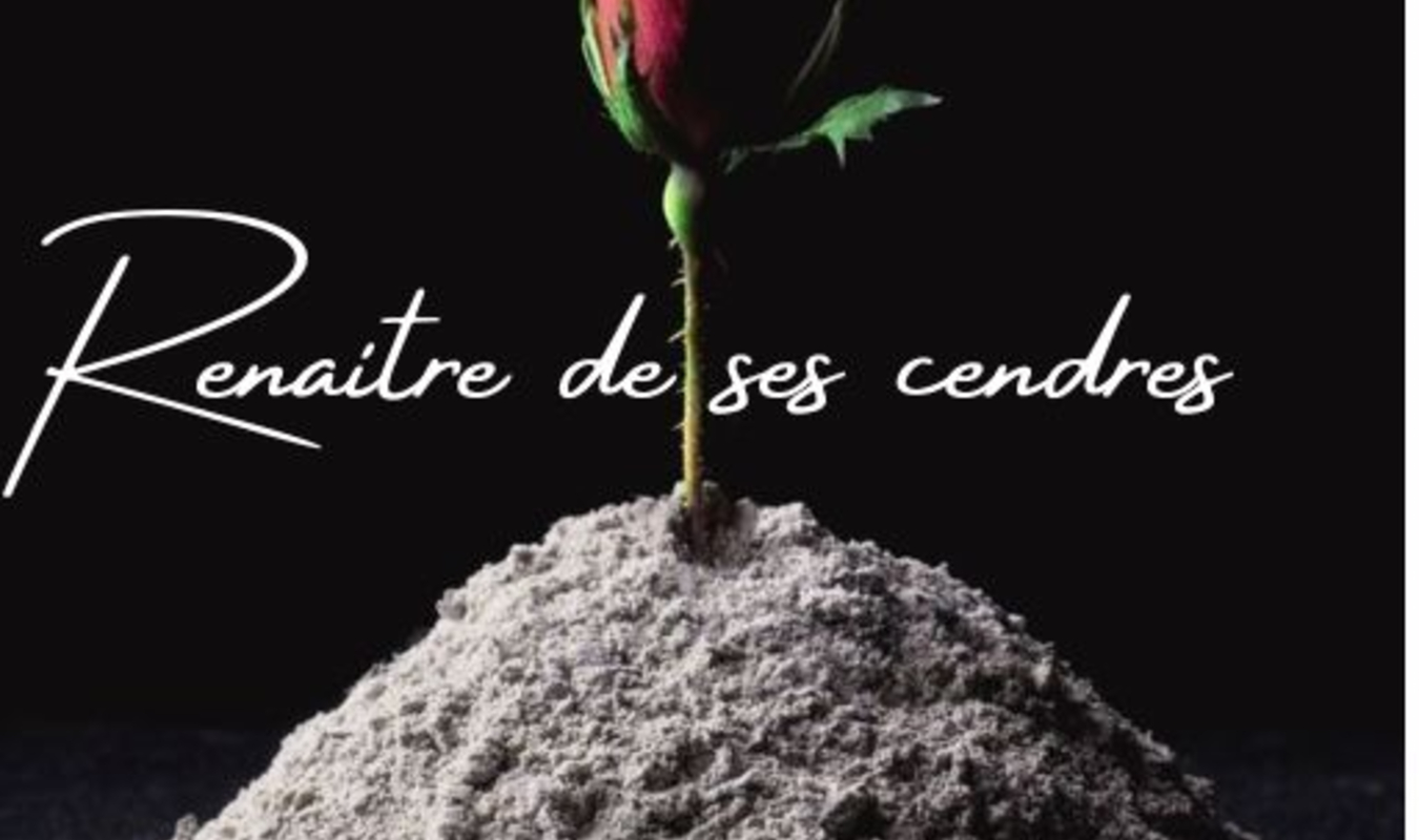 Renaitre de ses cendres