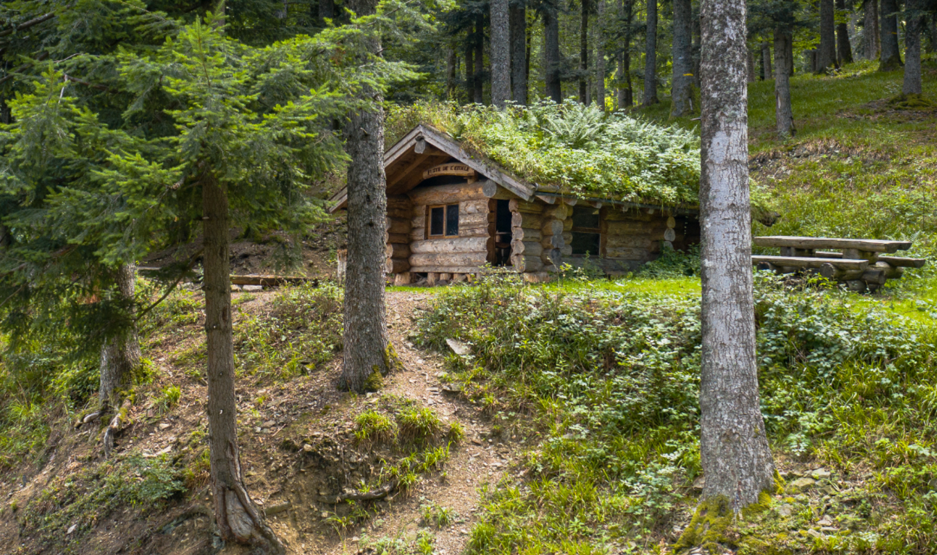 La cabane