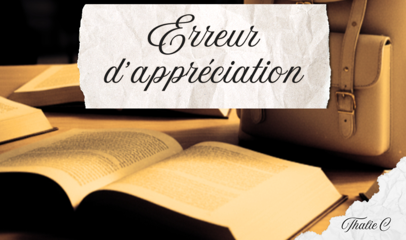 Erreur d'appréciation
