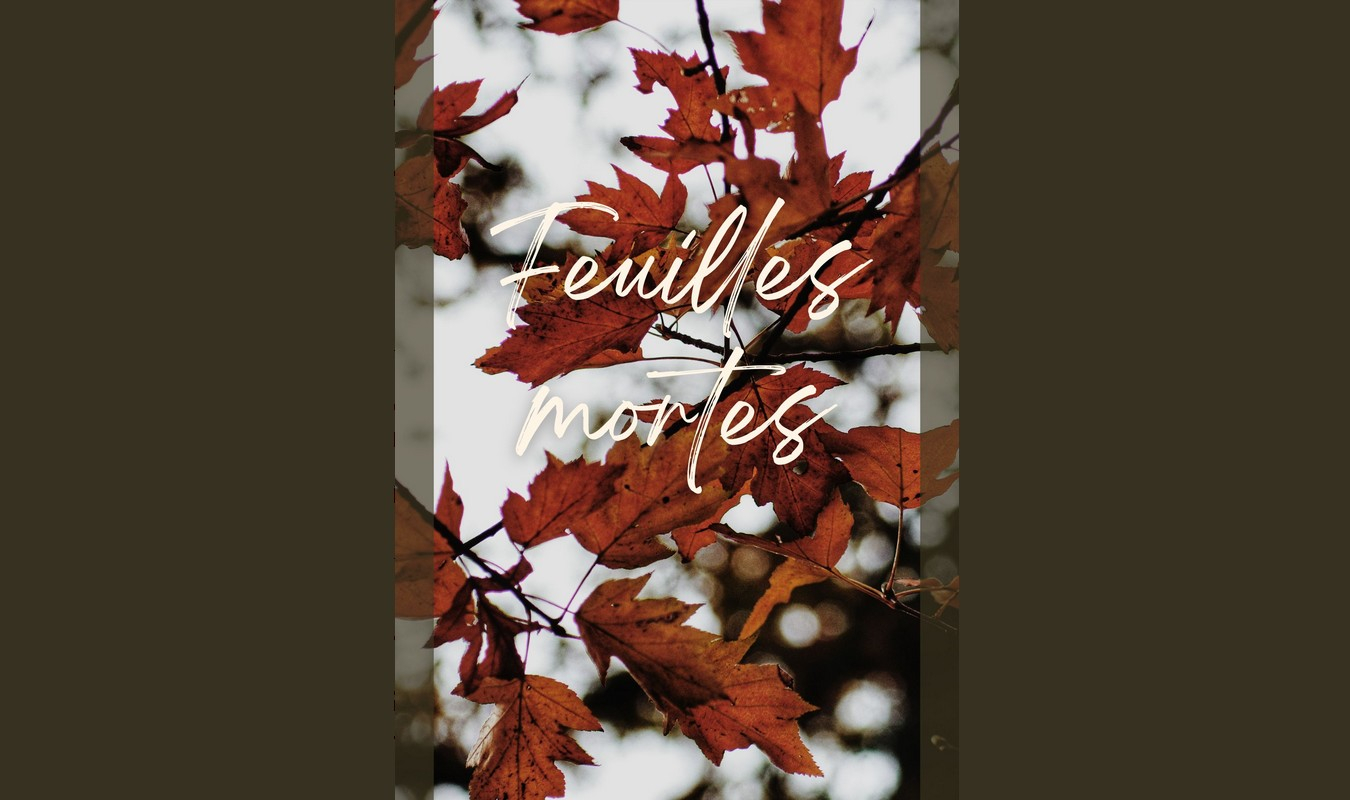 Feuilles mortes