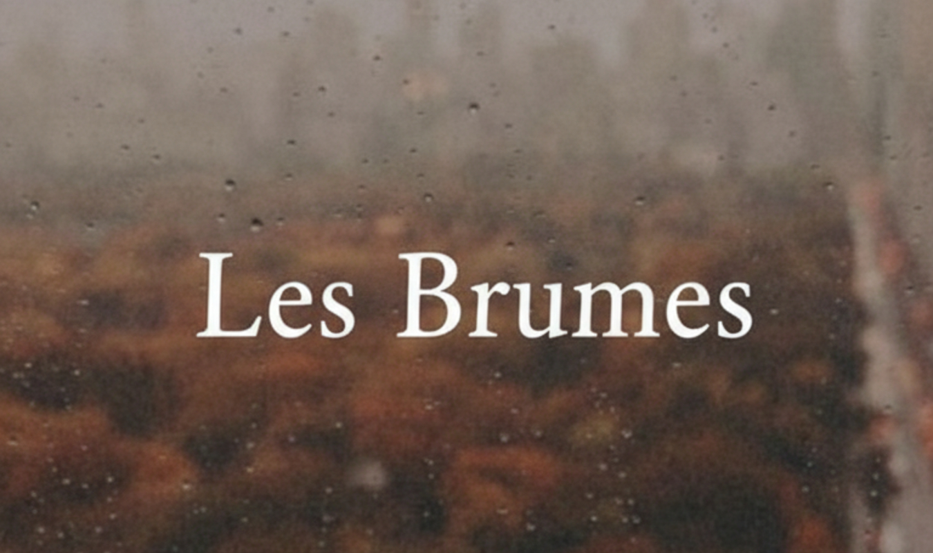 LES BRUMES 