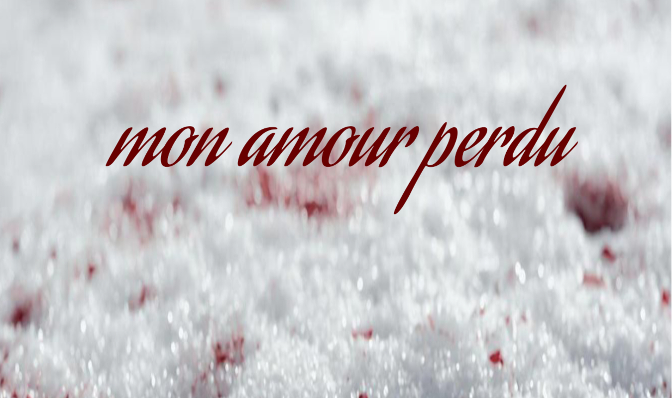 Mon amour perdu 