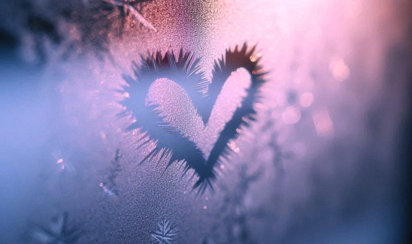 Sous la neige