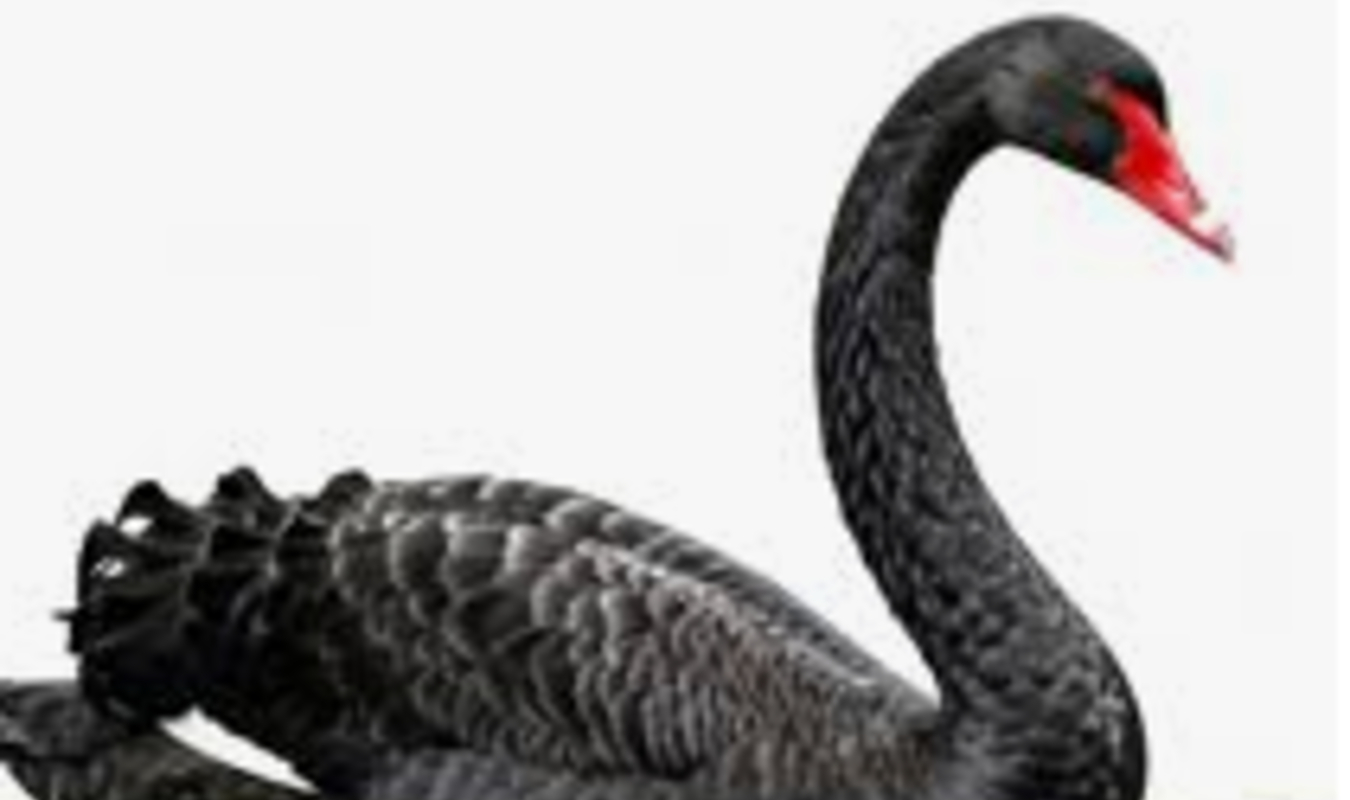 Nom de code : Black Swan 