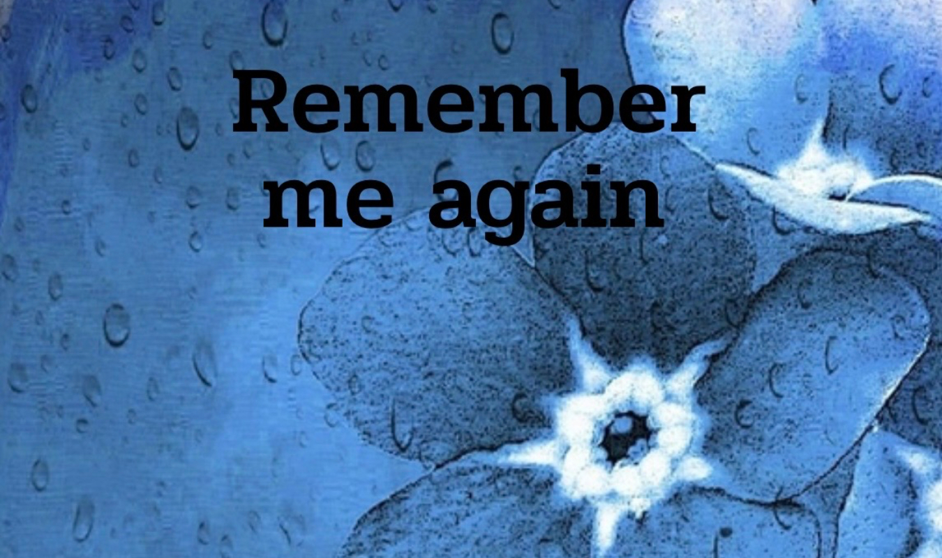Remember me again 