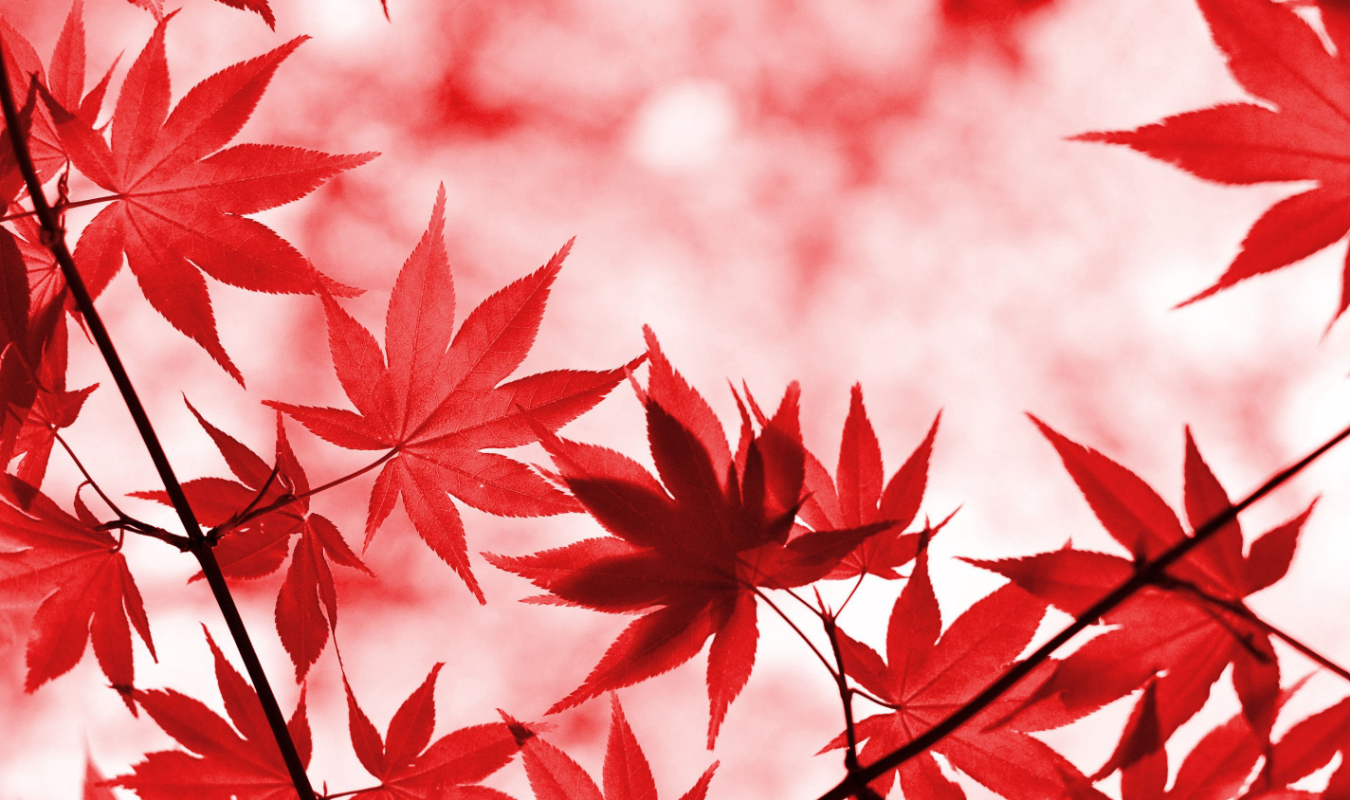 À la faveur d'Autumn