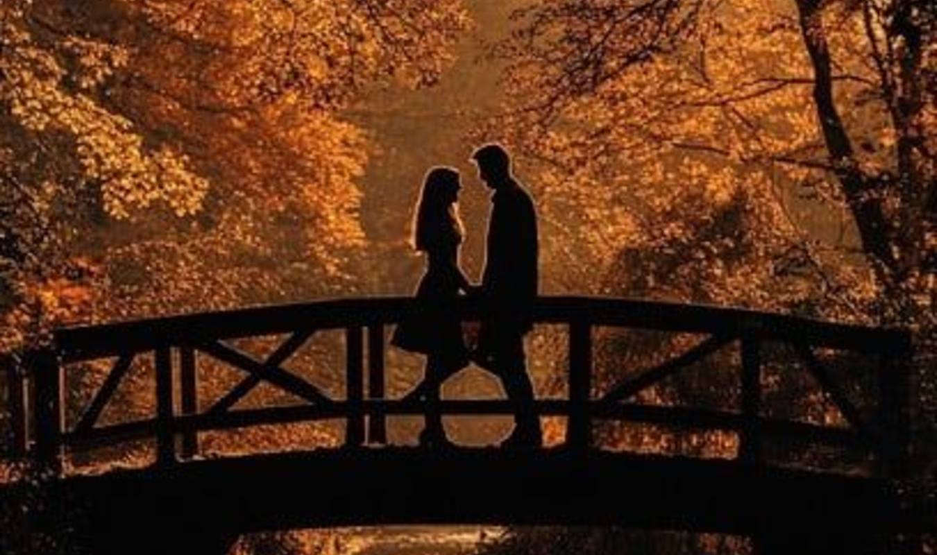 Les couleurs de l'automne 