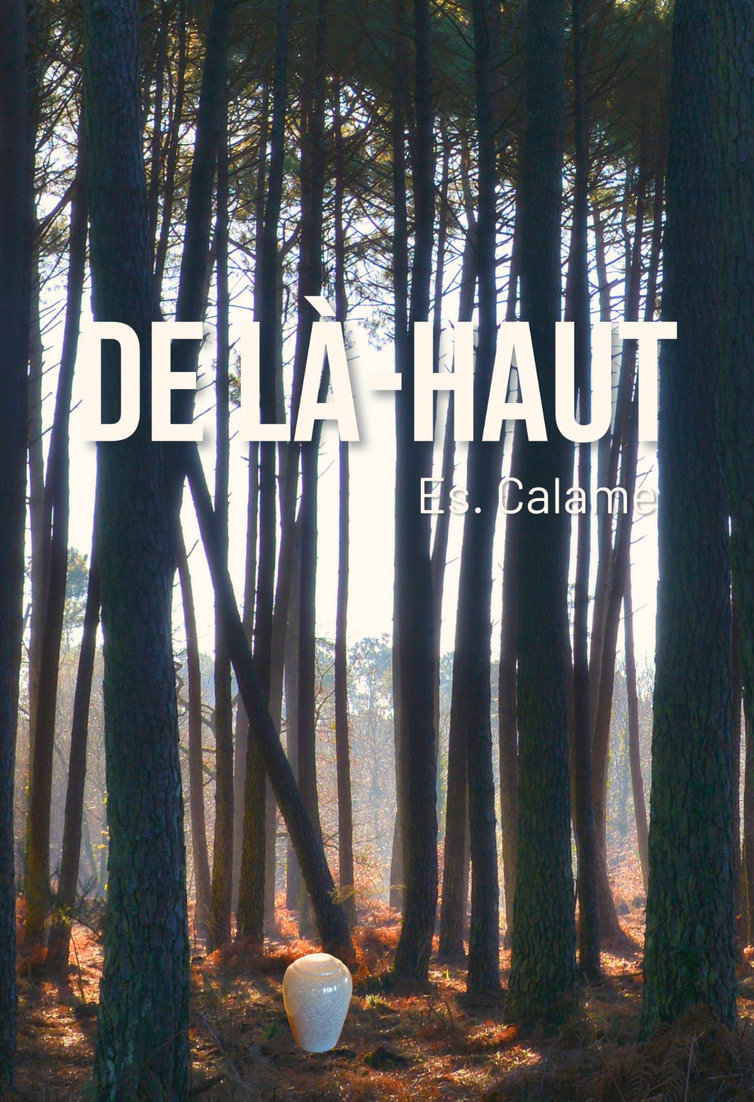 De là-haut