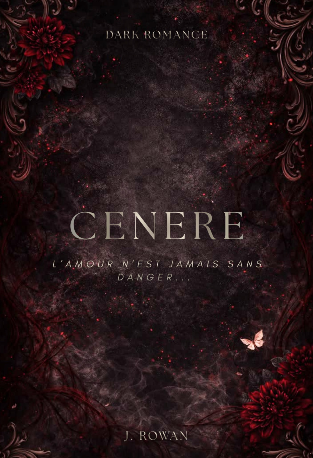 CENERE 