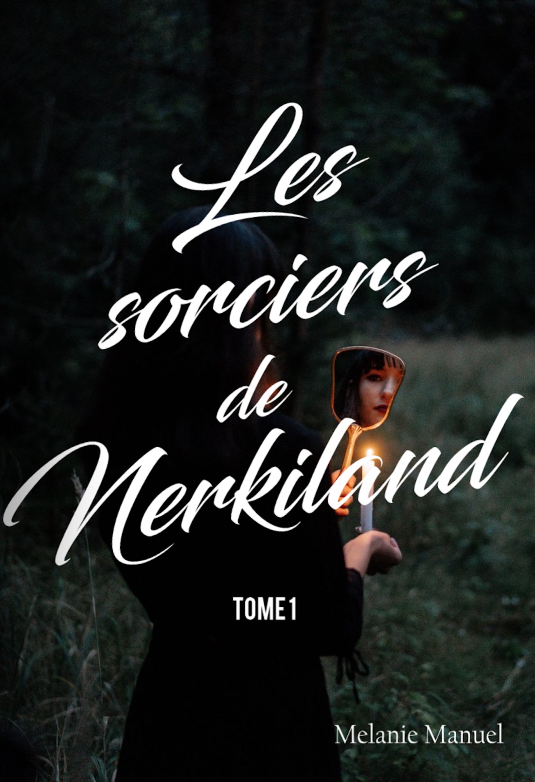 Les sorciers de Nerkiland - Tome 1