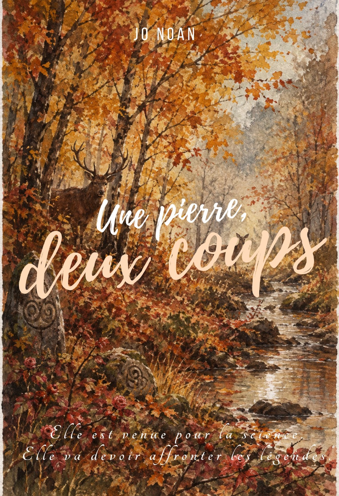 Une pierre, deux coups