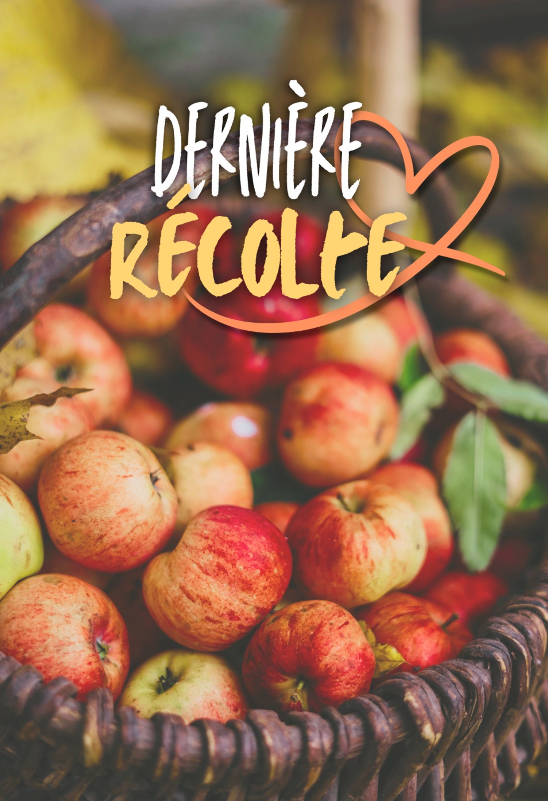 Dernière récolte