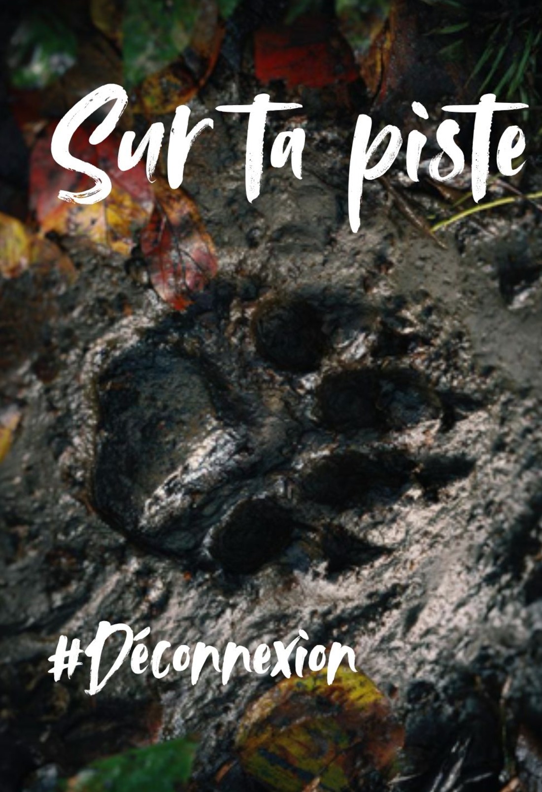 Sur ta piste - #déconnexion