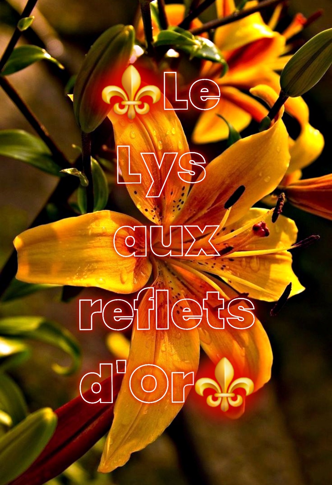 ⚜️ Le Lys aux reflets d’Or ⚜️