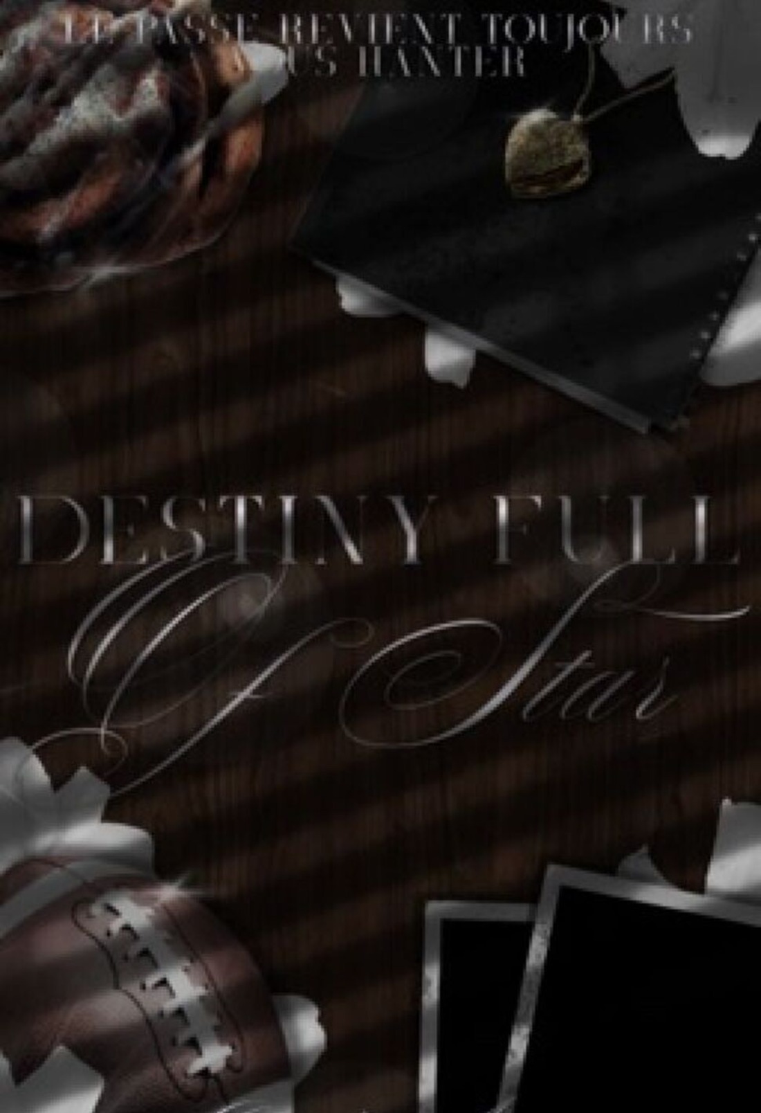 Destiny full of stars 