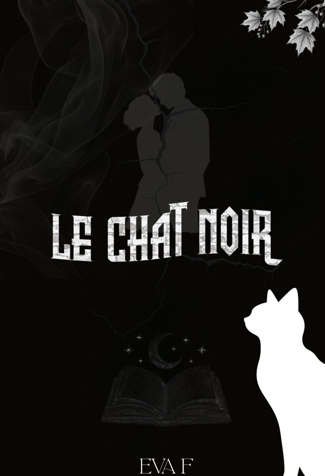 Le Chat Noir