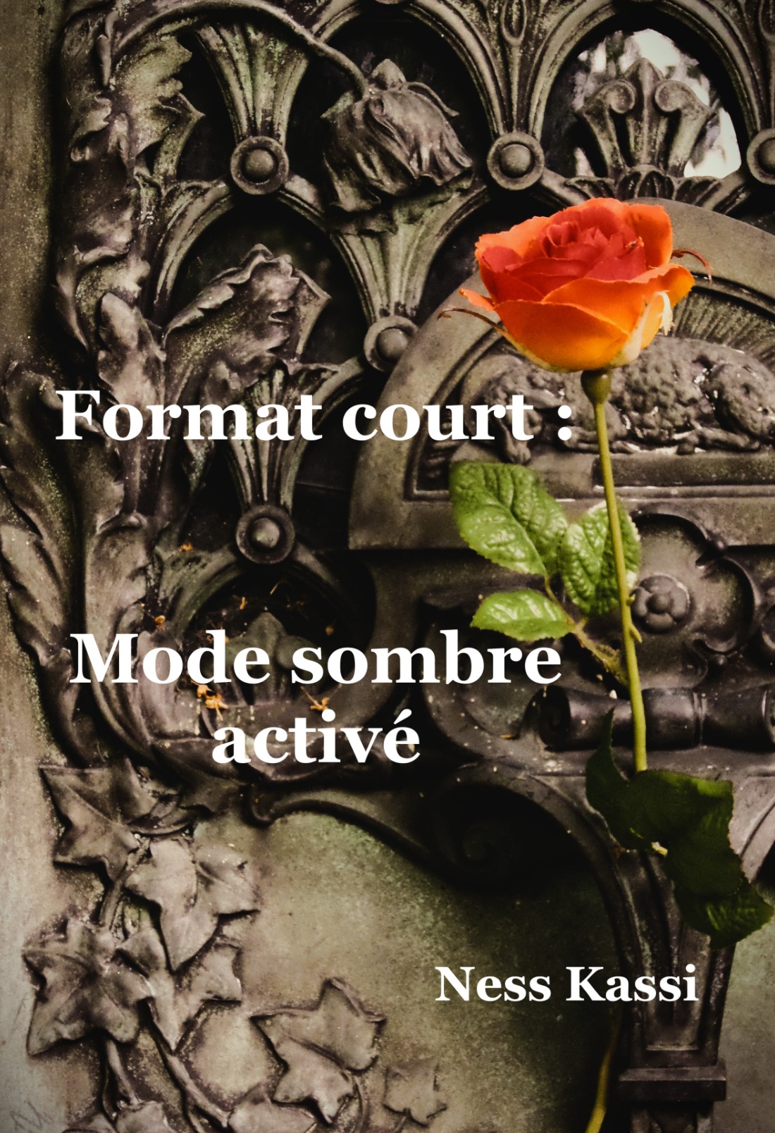 Format Court : Mode sombre activé