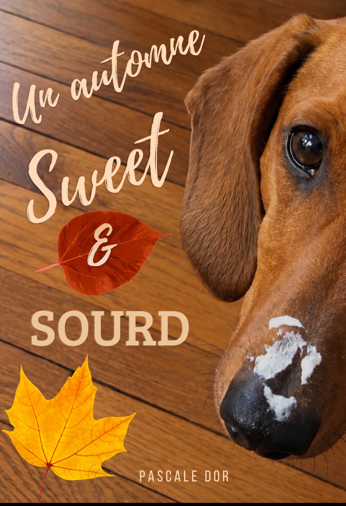 Un automne sweet & sourd