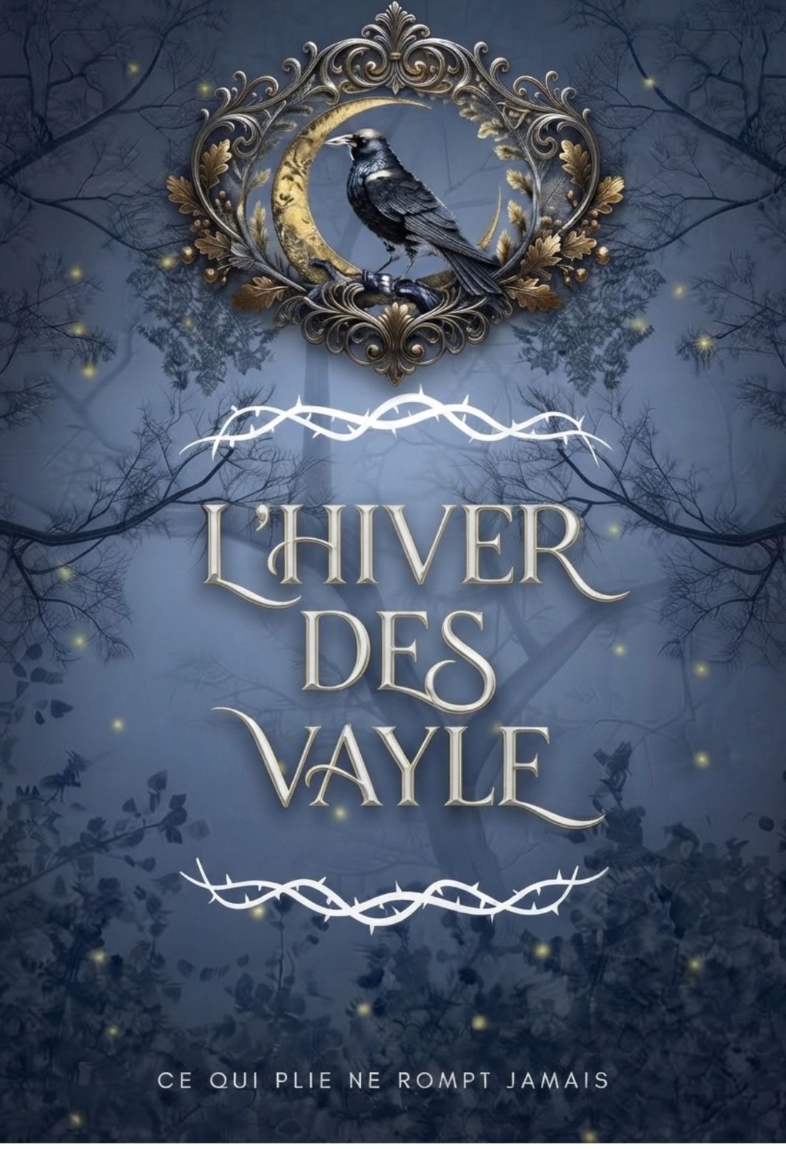 L'hiver des Vayle