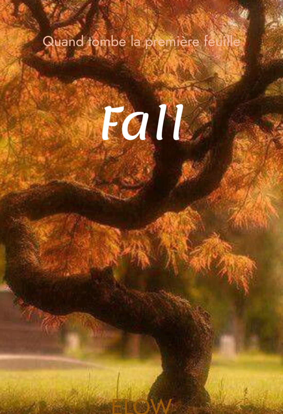 Fall
