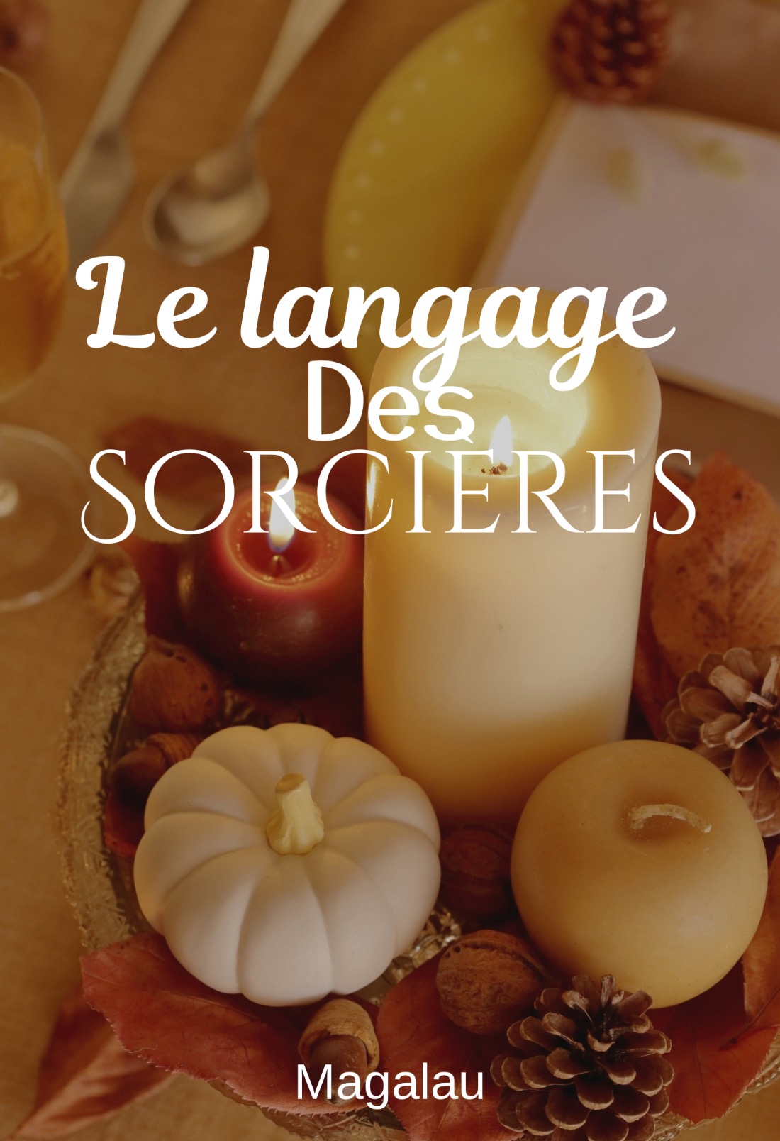 Le langage des Sorcières