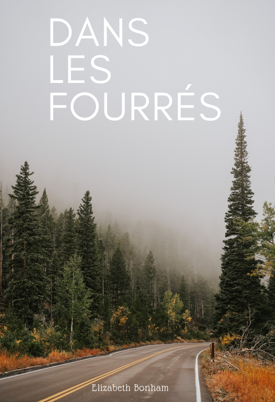Dans les fourrés 