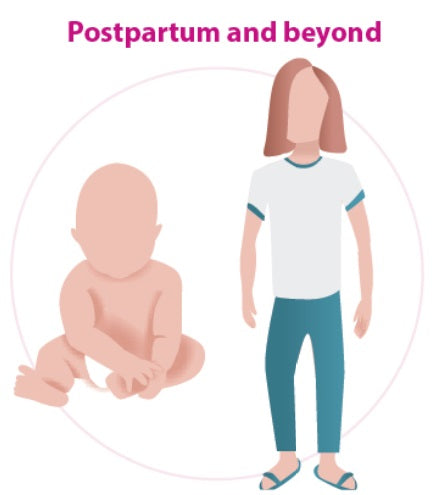 Nutrients to Support Postpartum and Beyond 10% off RRP | HealthMasters Postpartum Nutrients