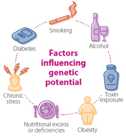 Factors Influencing Genetic Potential 10% off RRP | HealthMasters Factors Influencing Genetic Potential