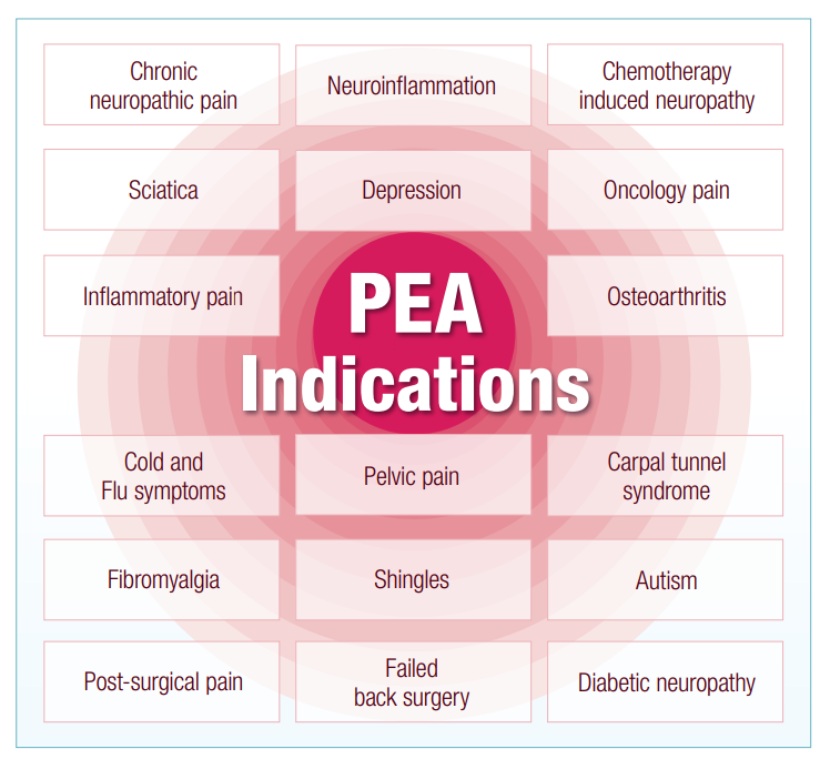BioMedica PEA Figure 2 10% off RRP | HealthMasters
