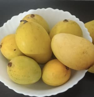 🥭 Jardalu Taste of Bhagalpur