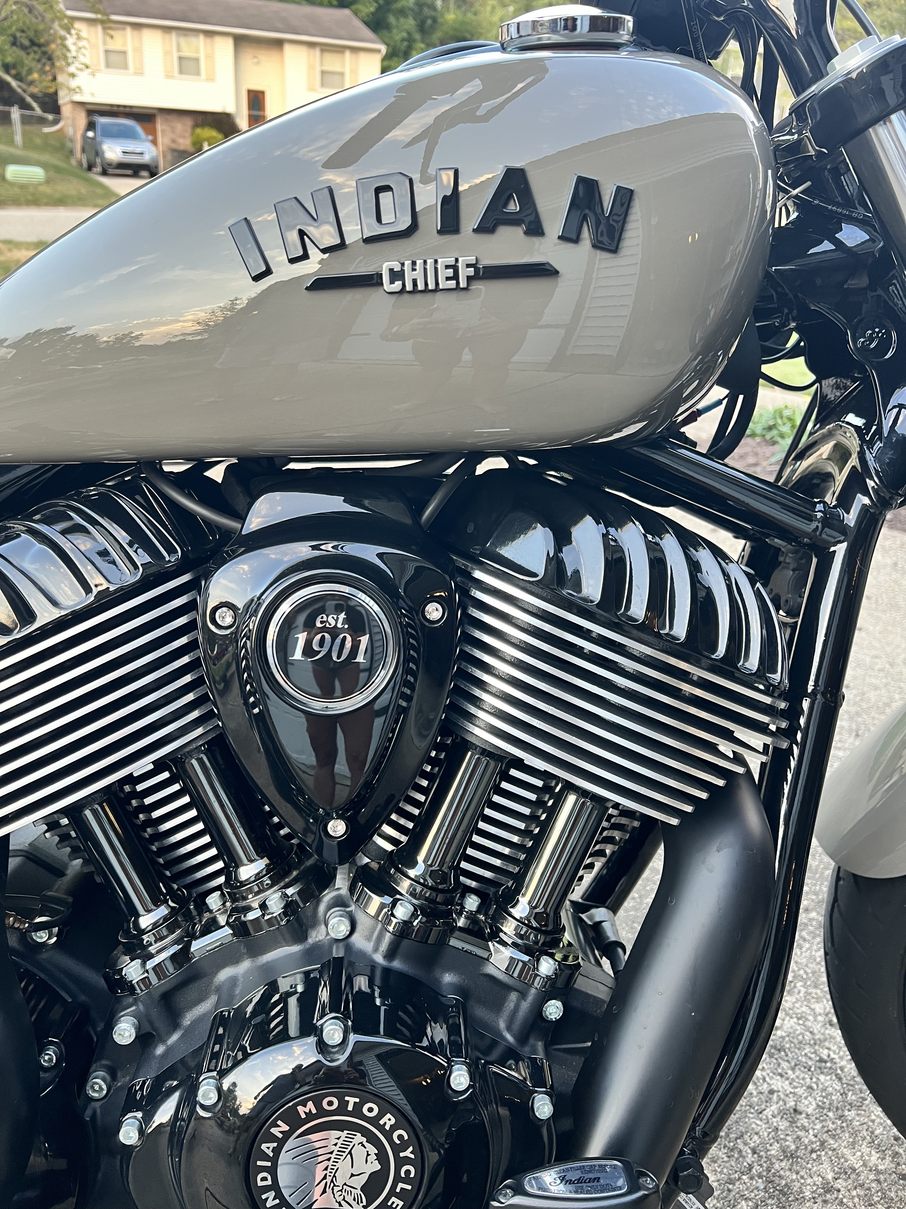 Indian Chief Dark Horse
