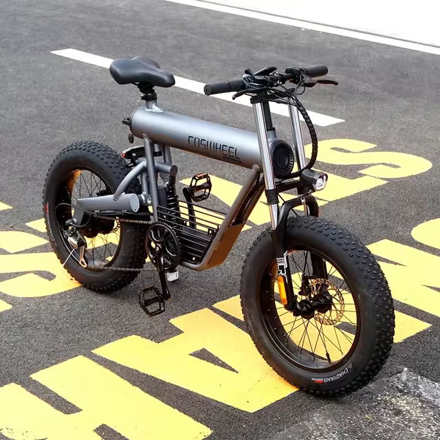 Coswheel T20