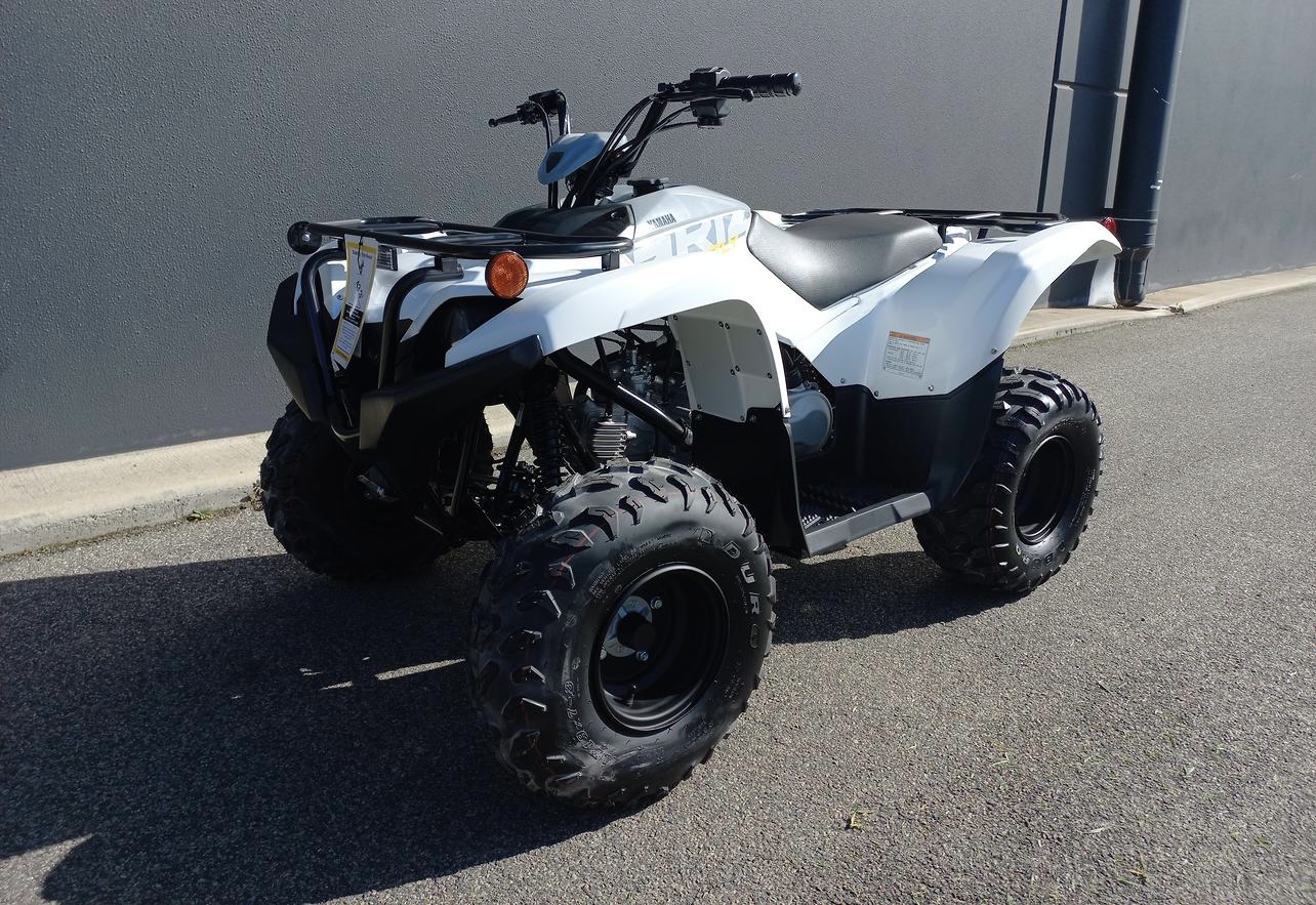 2024 Yamaha Grizzly 90 (YFM90RYX)