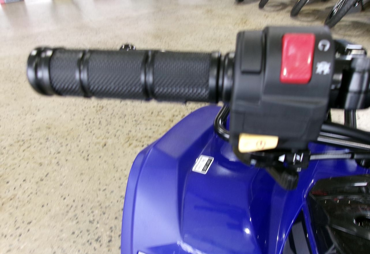 2024 Yamaha Grizzly 90 (YFM90RYX)