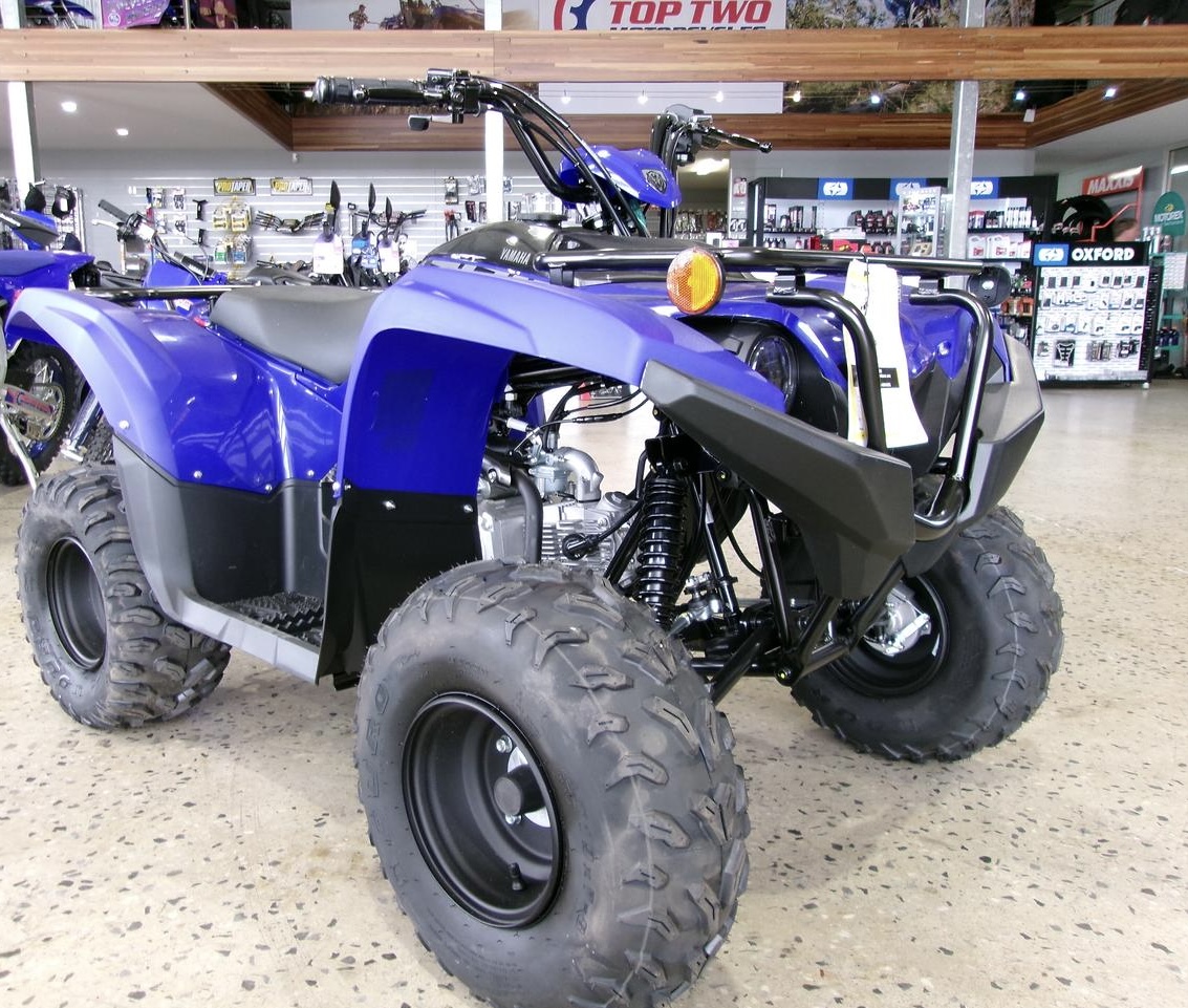 2024 Yamaha Grizzly 90 (YFM90RYX)