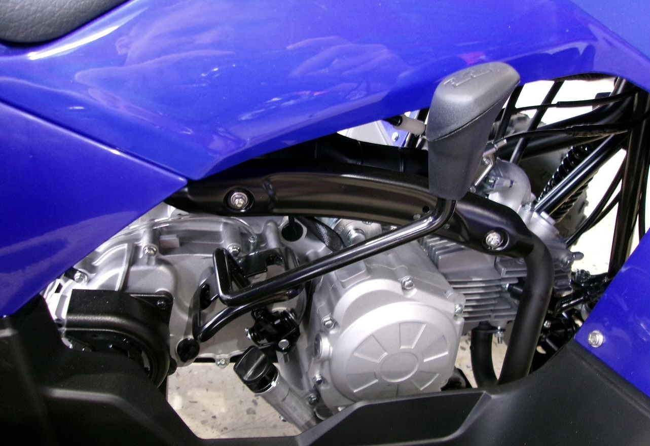 2024 Yamaha Grizzly 90 (YFM90RYX)